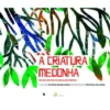 A Criatura Medonha de Álvaro Magalhães