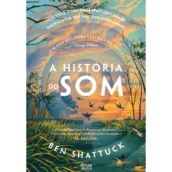 A História do Som de Ben Shattuck