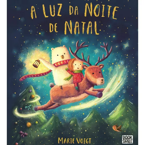 A Luz da Noite de Natal de Marie Voigt