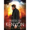 A Marca do Dragão de Sherrilyn Kenyon