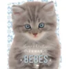 Animais Bebés - Toca e Brilha