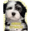 Animais de Estimação - Toca e Brilha
