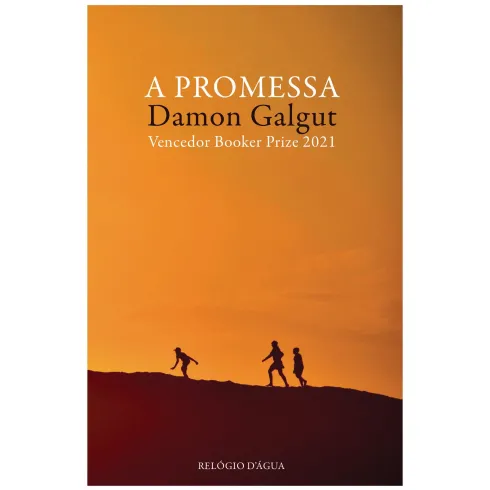A Promessa de Damon Galgut