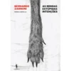As Minhas Estúpidas Intenções de Bernardo Zannoni