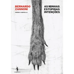 As Minhas Estúpidas Intenções de Bernardo Zannoni
