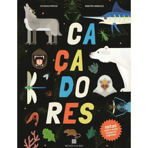 Caçadores de Mosquito