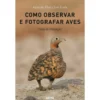 Como Observar e Fotografar Aves