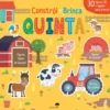Constrói e Brinca - Quinta
