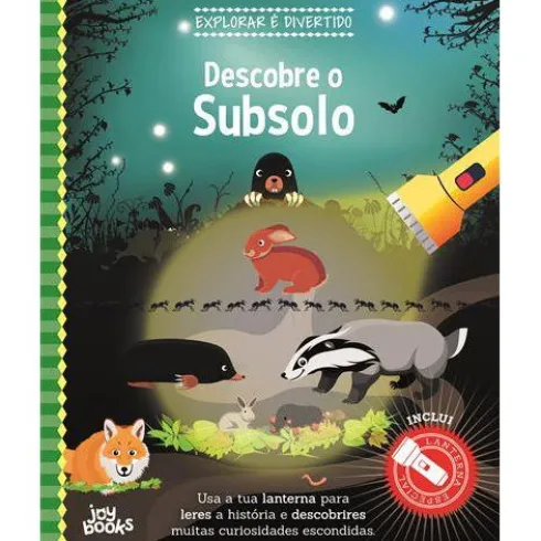 Descobre o Subsolo de Vários Autores - Explorar é Divertido