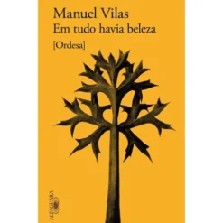 Em Tudo Havia Beleza de Manuel Vilas