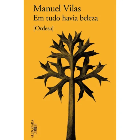 Em Tudo Havia Beleza de Manuel Vilas