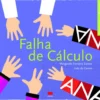Falha de Cálculo de Margarida Fonseca Santos