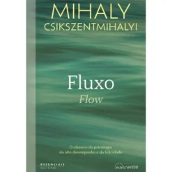 Fluxo Flow de Mihaly Csikszentmihalyi