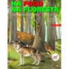 Há Fogo na Floresta de Ana Maria Magalhães