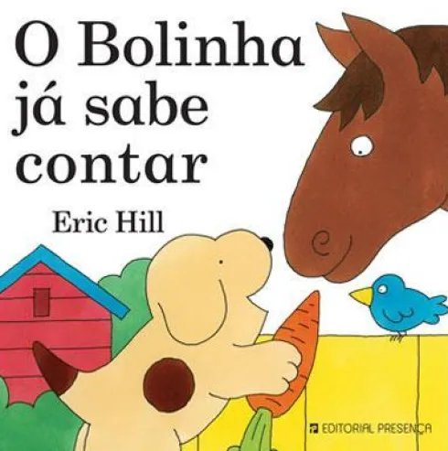 Já Sabe Contar