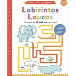 Labirintos Loucos de Elizabeth Golding - O Meu Livro de Desafios: