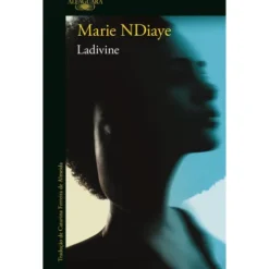 Ladivine de Marie Ndiaye