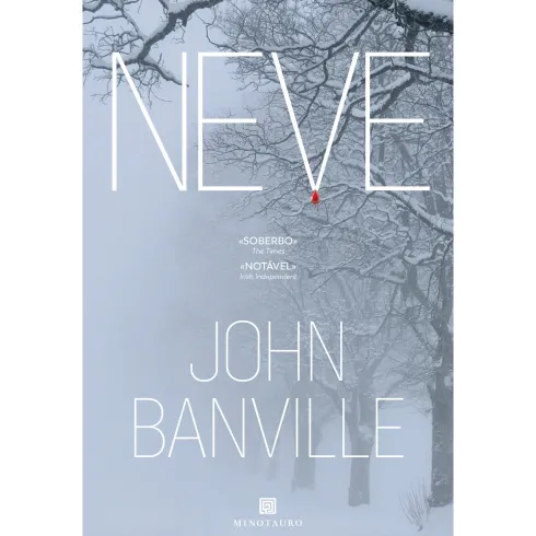 Neve de John Banville