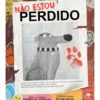 Não Estou Perdido de Kashelle Gourley, Skylar Hogan