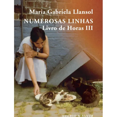 Numerosas Linhas de Maria Gabriela Llansol