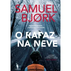 O Rapaz na Neve de Samuel Bjørk