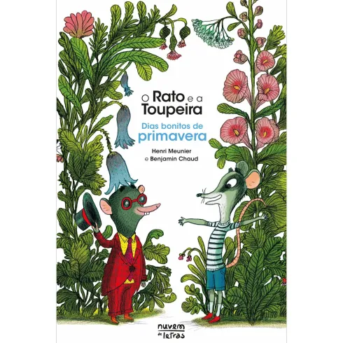 O Rato E A Toupeira: Dias Bonitos De Primavera de Henri Meunier
