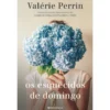Os Esquecidos de Domingo de Valerie Perrin