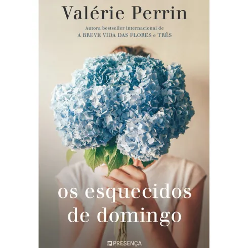 Os Esquecidos de Domingo de Valerie Perrin