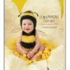Os Meus Primeiros Cinco Anos - Abelhinha de Anne Geddes