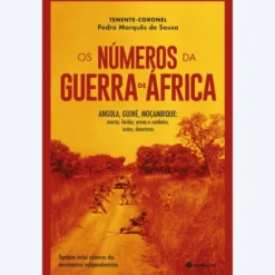 Os Números da Guerra de África de Pedro Marquês de Sousa