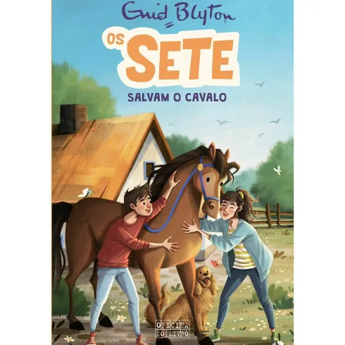 Os Sete Salvam o Cavalo de Enid Blyton - Os Sete Volume 15