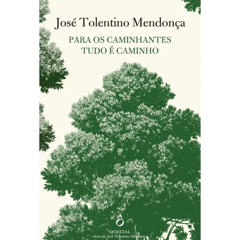 Para Os Caminhantes Tudo É Caminho de José Tolentino Mendonça