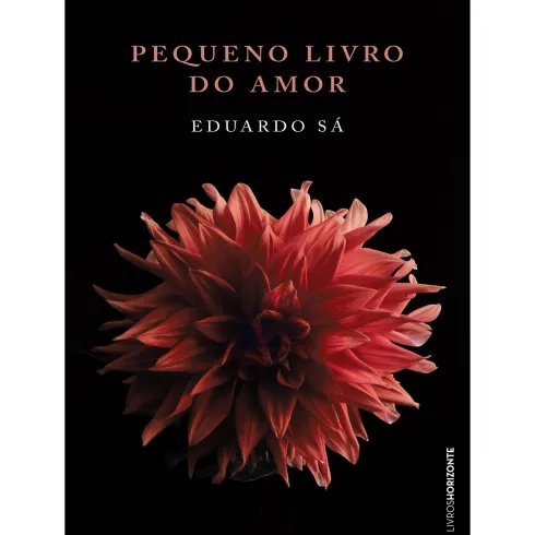 Pequeno Livro Do Amor de Eduardo Sá