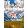 Peter Camenzind de Hermann Hesse
