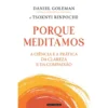 Porque Meditamos de Daniel Goleman E Tsoknyi Rinpoche