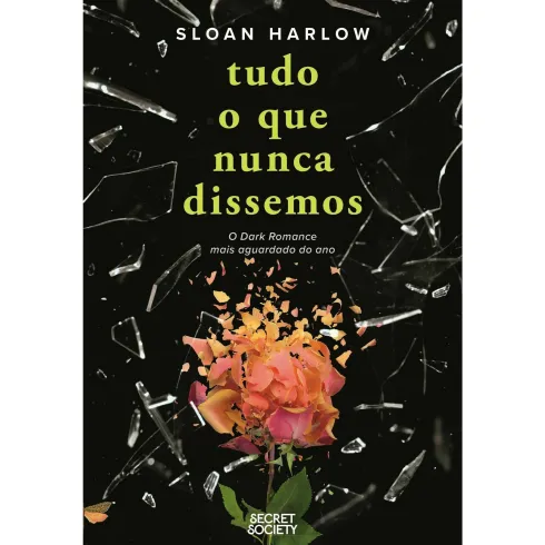 Tudo o que Nunca Dissemos de Sloan Harlow