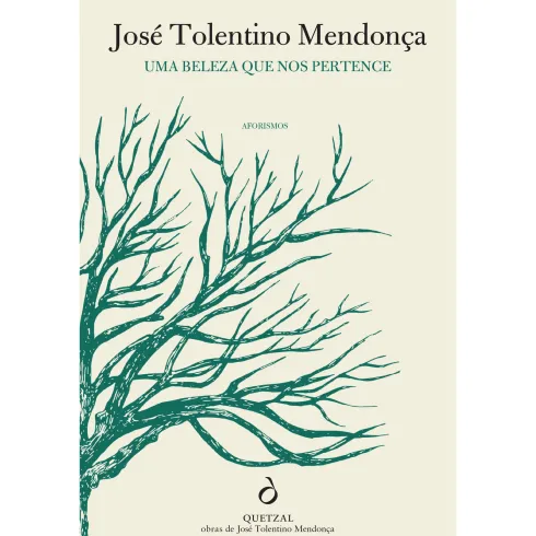 Uma Beleza que nos Pertence de José Tolentino Mendonça