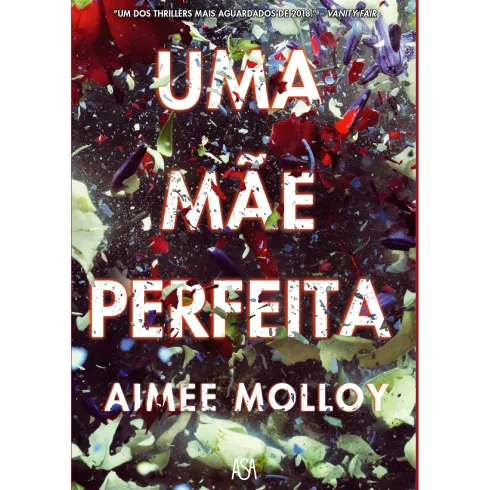 Uma Mãe Perfeita de Aimee Molloy