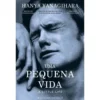Uma Pequena Vida de Hanya Yanagihara