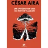Um Episódio na Vida do Pintor Viajante de César Aira