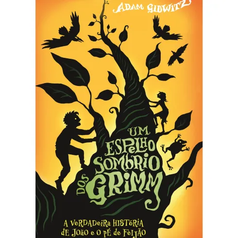 Um Espelho Sombrio Dos Grimm de Adam Gidwitz