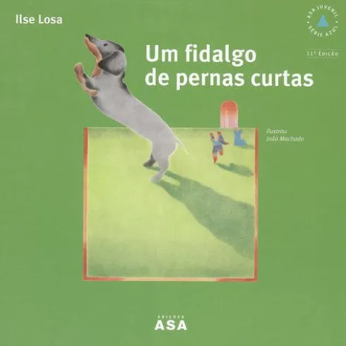 Um Fidalgo de Pernas Curtas de Ilse Losa