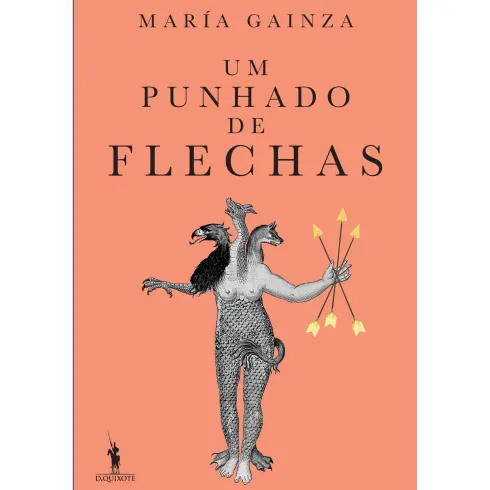 Um Punhado De Flechas de María Gainza